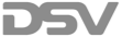 DSV logo